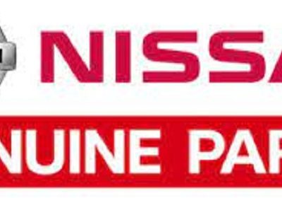 Supporto Motore Nissan Terrano II SD3000