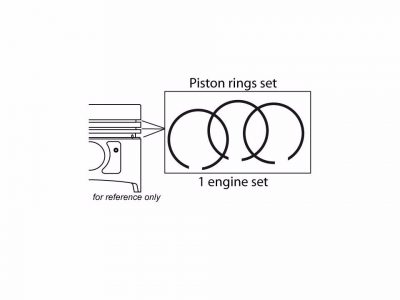 TOYOTA LANDCRUISER  40 1969 3.0 D (1974-02-1984-10) 59kw/80hp 4x4 B BJ40 3 porte (Dal 11/1975)-SERIE SEGMENTI MOTORE STD D.95(2,5x2,5x4,5)